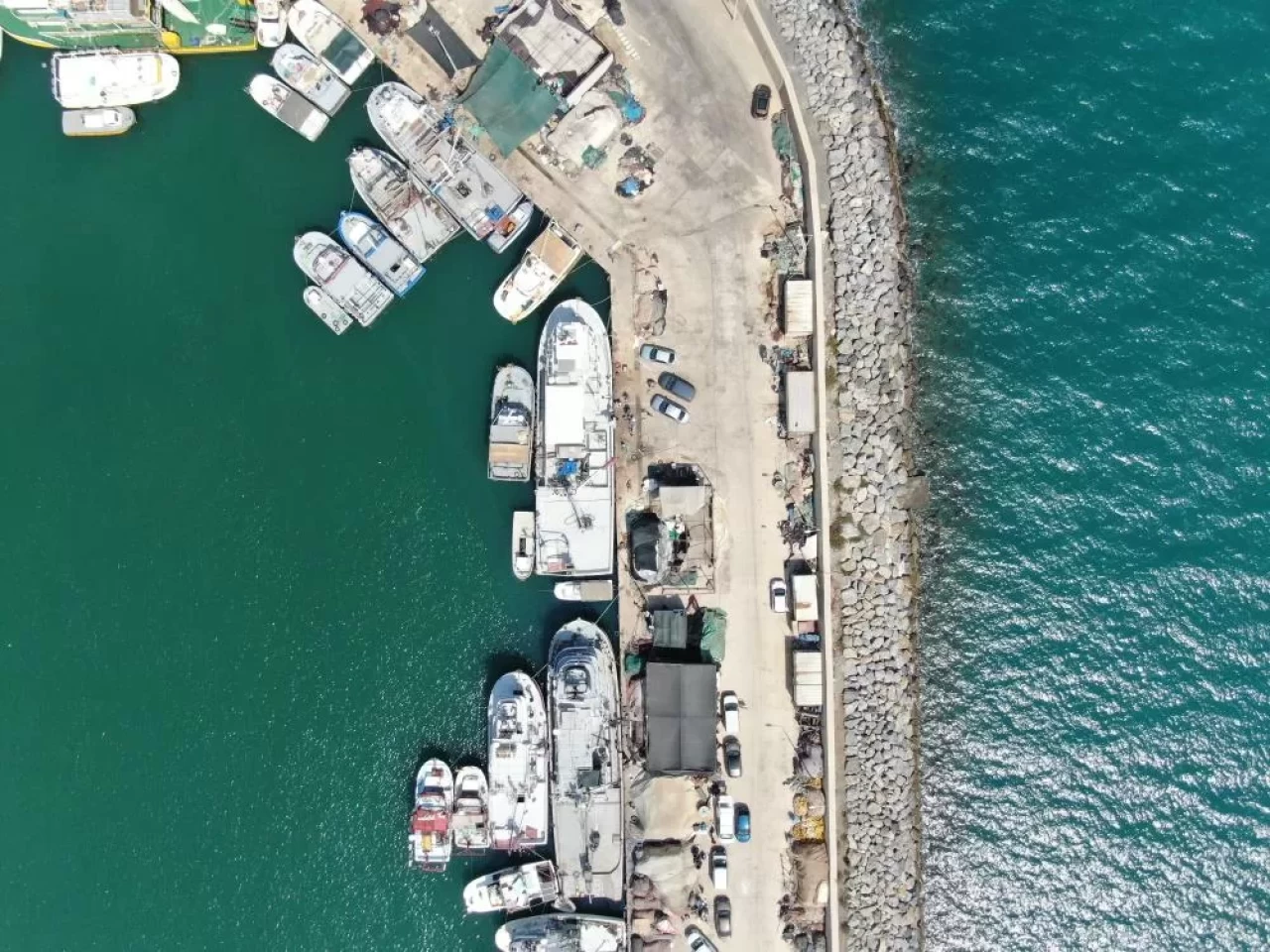 İzmir'de deniz kirliliği balığı vurdu: Sardalyasız sezon kapıda