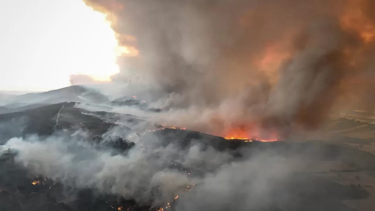 Çanakkale'de orman yangını! Mücadele sürüyor