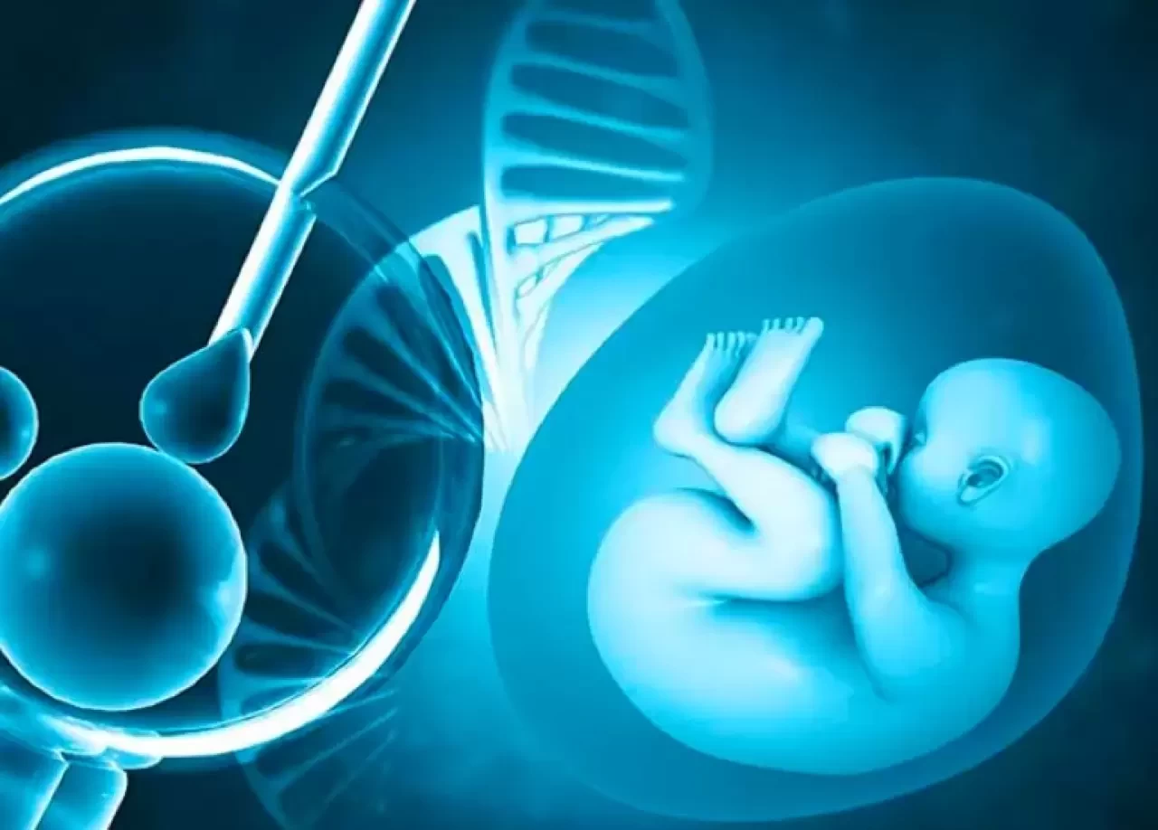 Tüp Bebek Tedavisi: Süreç Nasıl Başlıyor? Tüp Bebek Tedavisi Nedir?