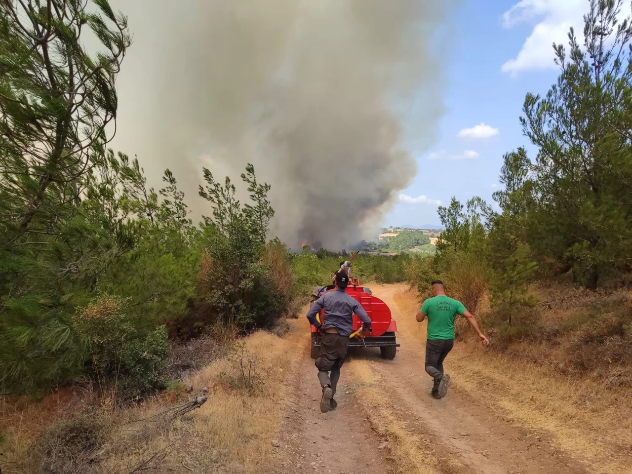 Çanakkale'nin Bayramiç ilçesinde çıkan orman yangını nedeniyle 3 köy boşaltıldı