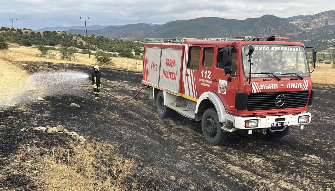 Kopan elektrik teli yangına sebep oldu: 3 dönümlük tarla zarar gördü