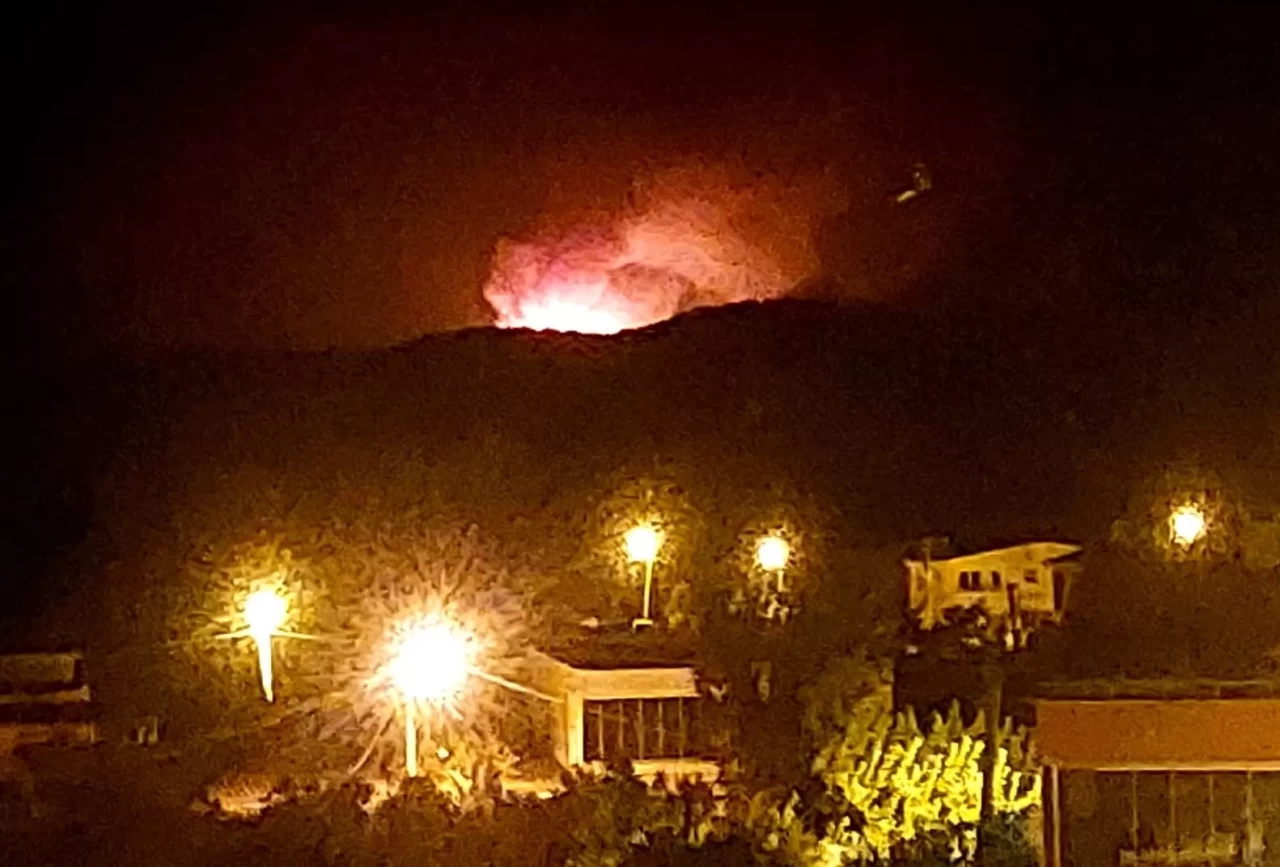 Çanakkale'de orman yangını! Alevler rüzgarla yayıldı, ekipler seferber oldu!