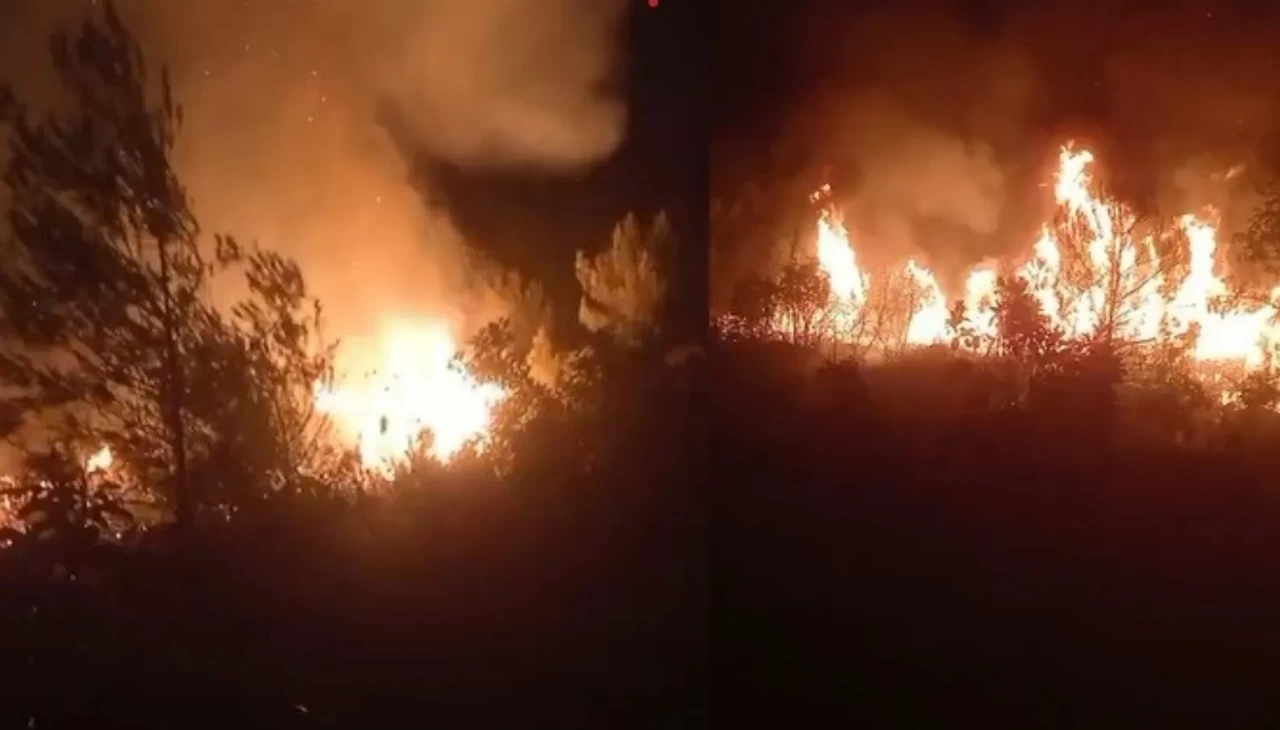 Hatay'da orman yangını sürüyor... Alevlere müdahalede 10. saat