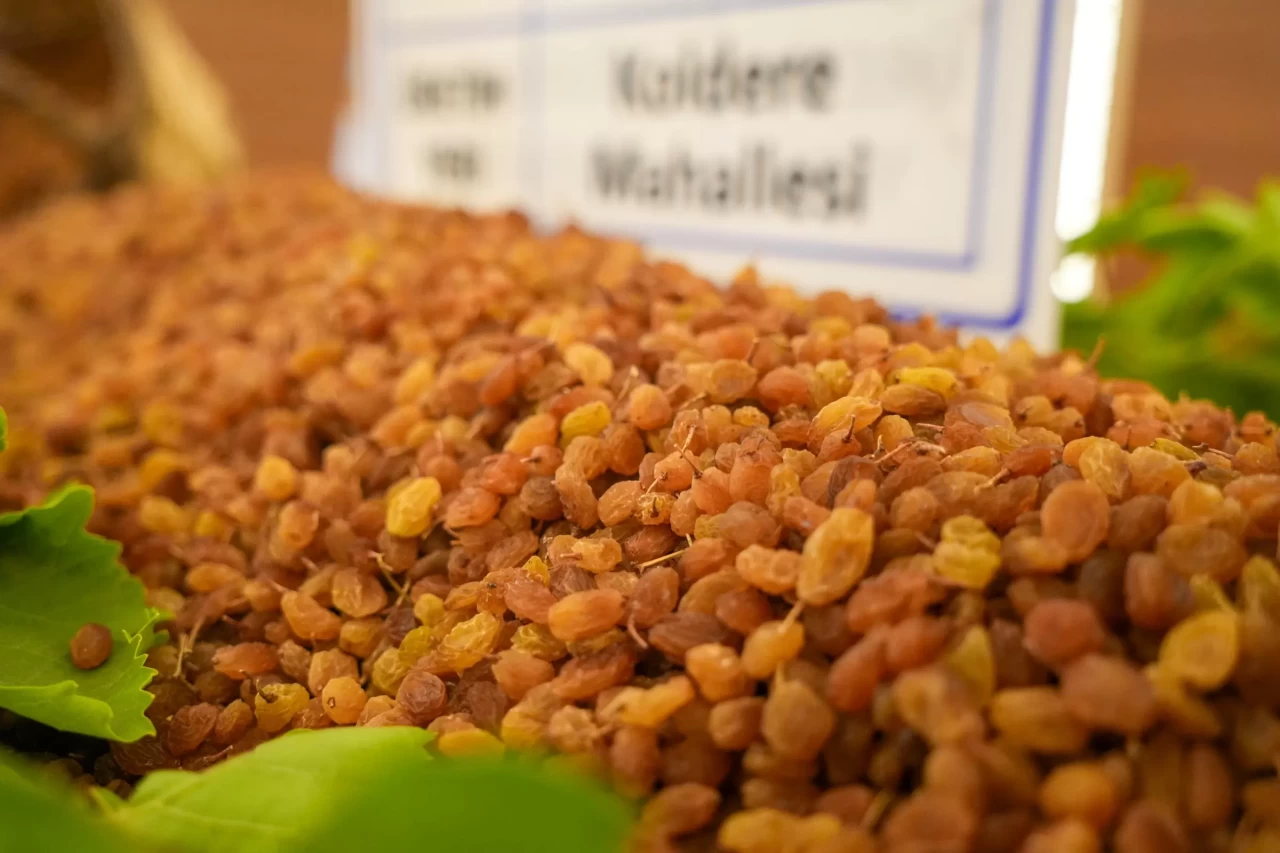 Altın değerinde! Yılın ilk kuru üzümü borsada rekor fiyatla satıldı