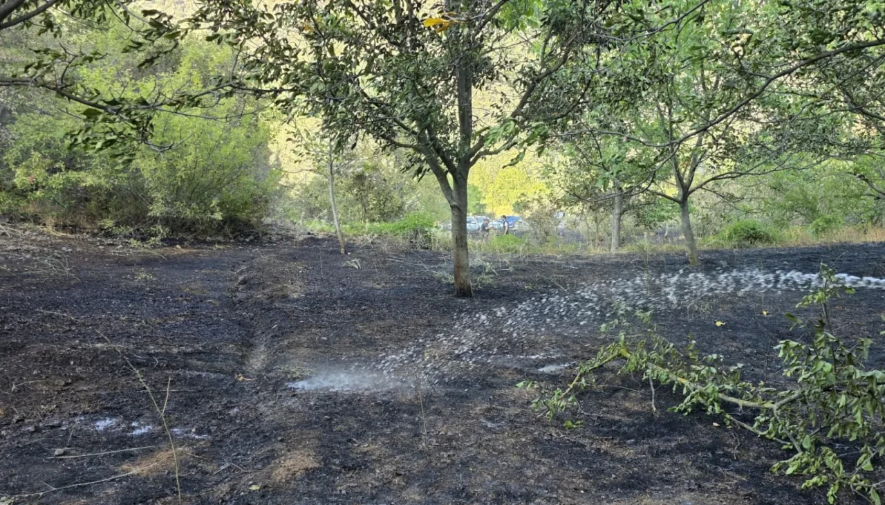 Bolu'da yangın paniği! Ormana sıçramadan söndürüldü
