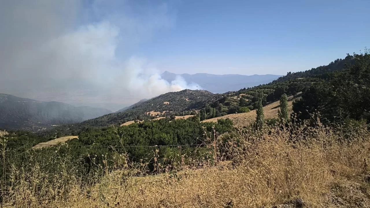 Denizli'de orman yangını çıktı