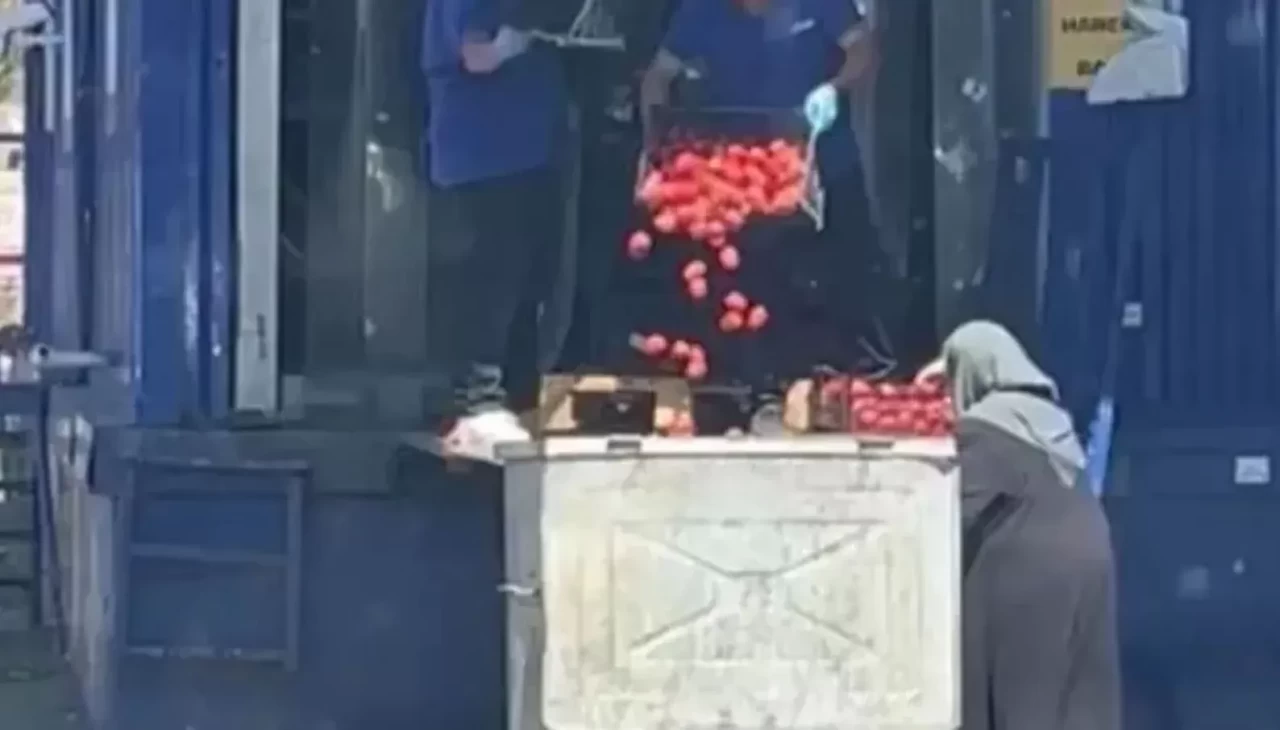Bakanlıktan 'domateslerin çöpe dökülmesiyle' ilgili açıklama