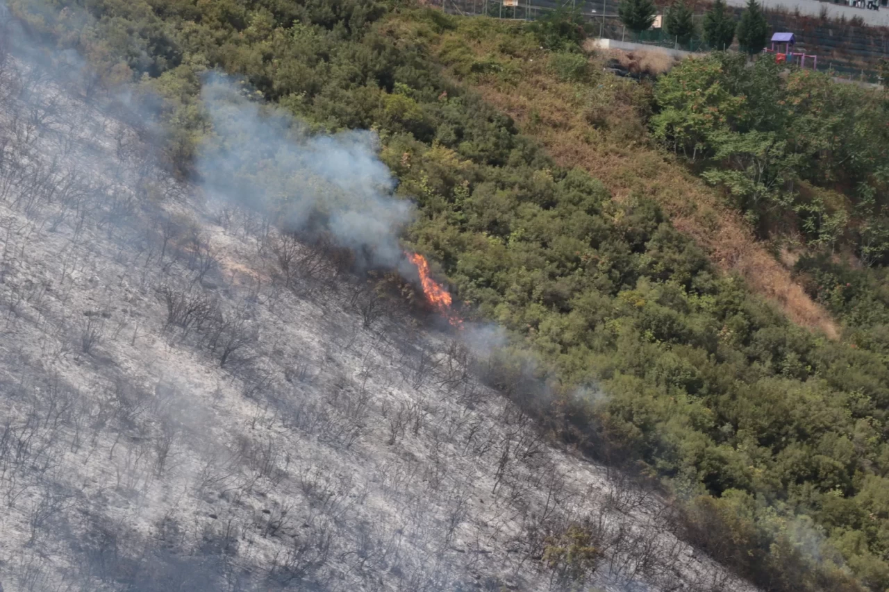 Kocaeli'de ağaçlık ve makilik alanda çıkan yangına müdahale ediliyor