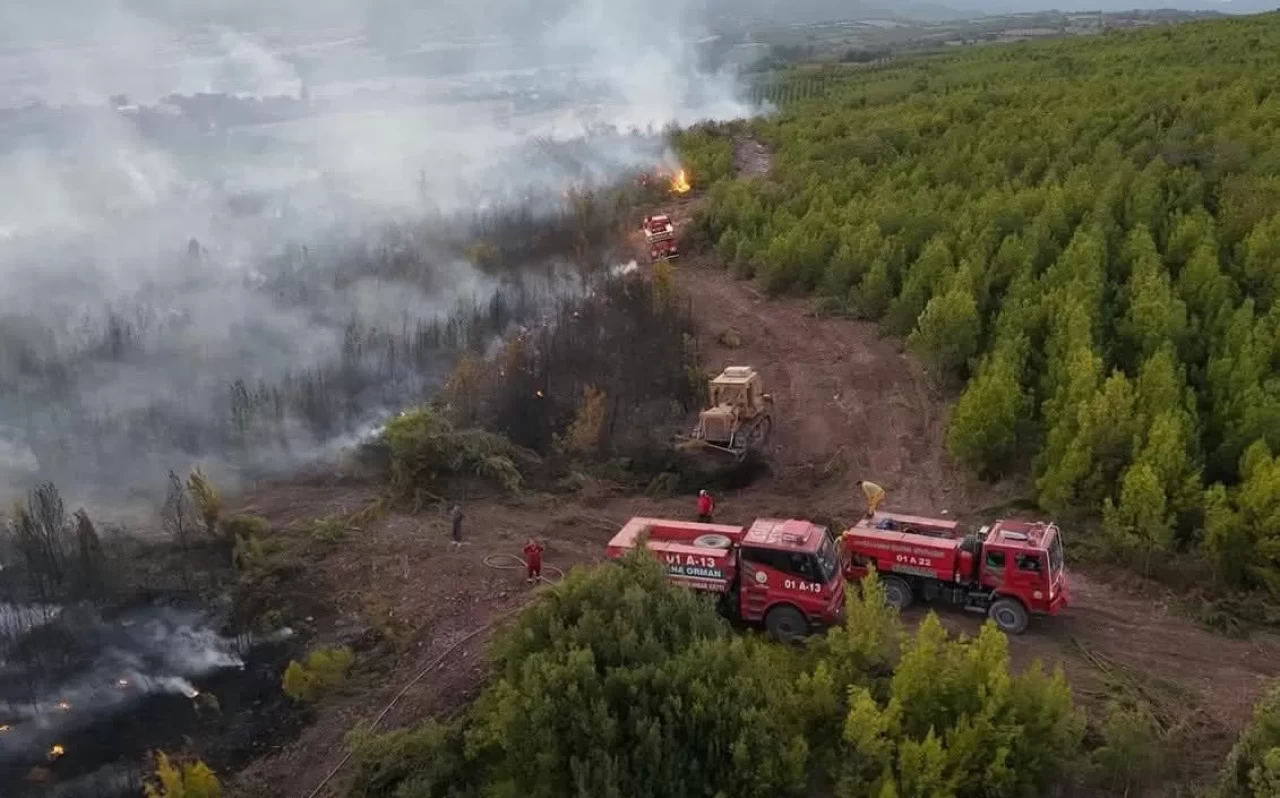 Osmaniye’de çıkan orman yangını söndürüldü