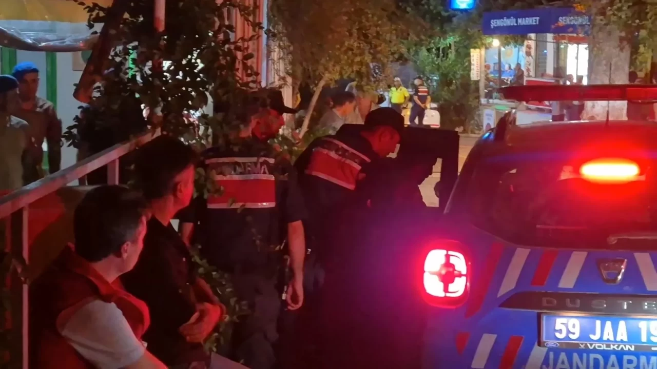 Tekirdağ'da orman yangınına neden olduğu iddia edilen 1 şüpheli gözaltına alındı