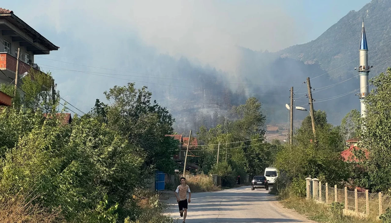 Bartın'da 4 ayrı noktada orman yangını!