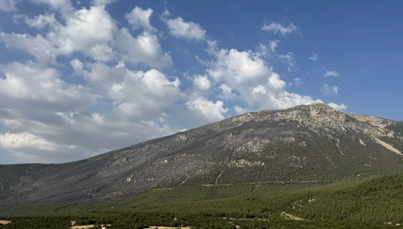 Pamukkale'deki orman yangını kontrol altına alındı