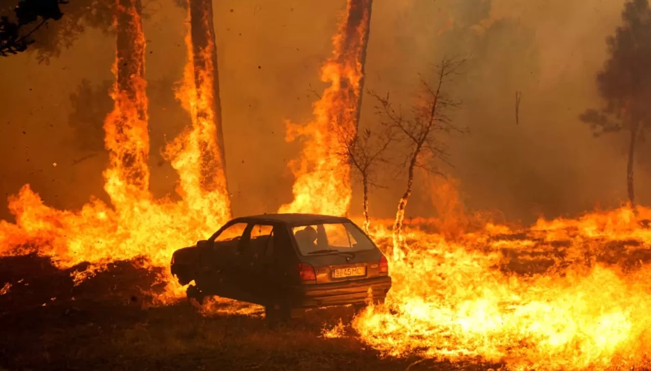 Portekiz, tarihinin en büyük orman yangınlarıyla mücadele ediyor