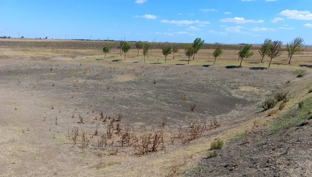 Ballıhoca Sulama Göleti kurudu