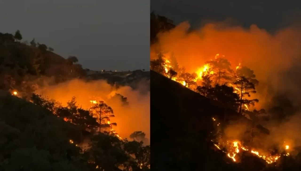 Buldan’da sarp arazide orman yangını çıktı