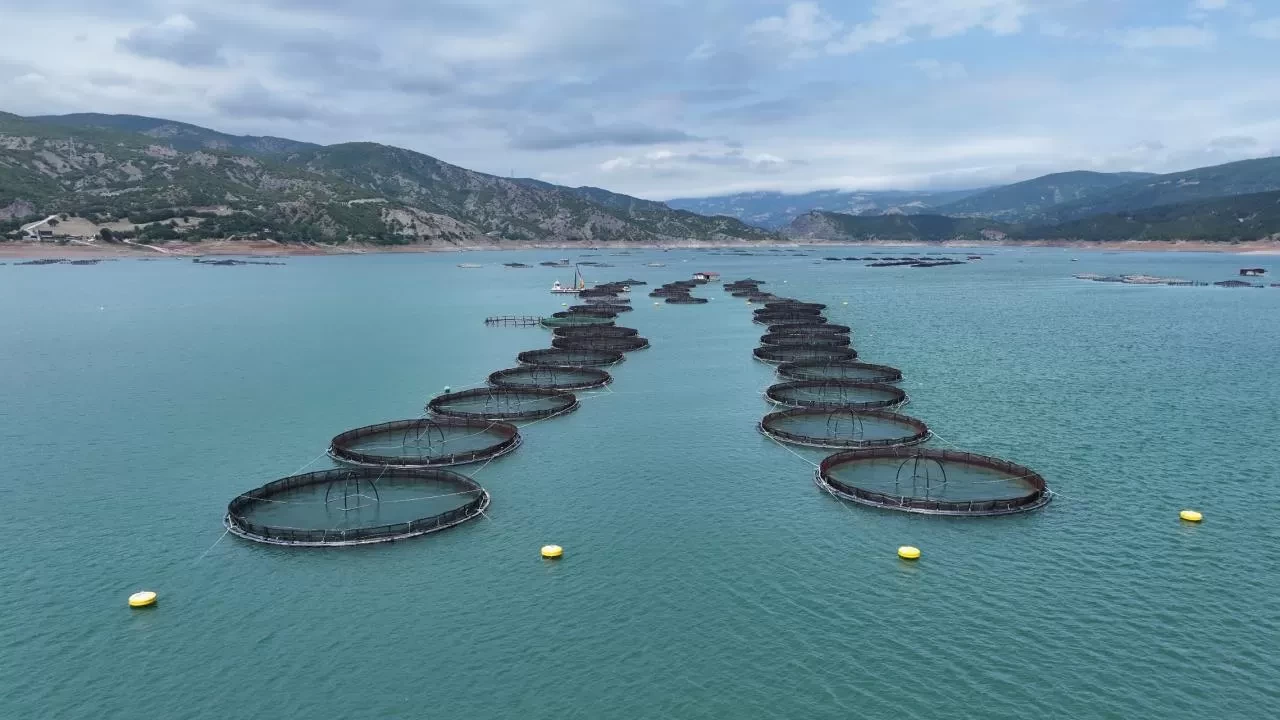 Tokat'tan 29 ülkeye balık ihraç edildi