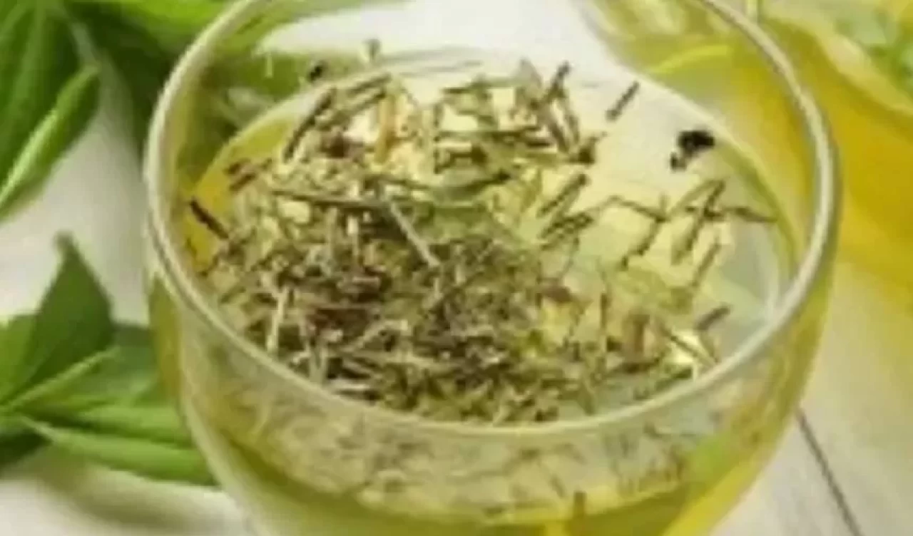 Fesleğen çayı faydaları! Şişkinliğe karşı doğal destek