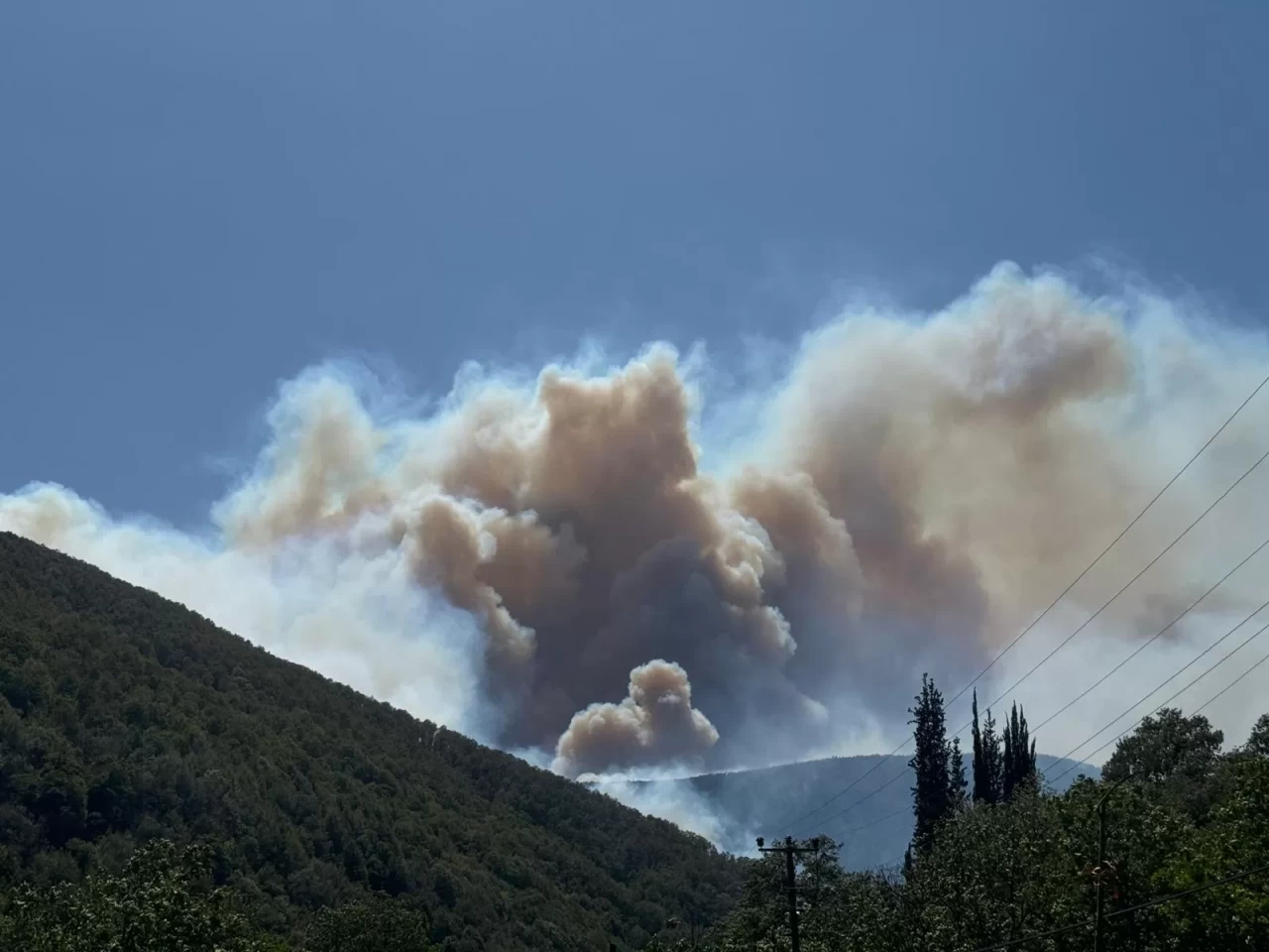 Kocaeli'de çıkan orman yangınına müdahale ediliyor
