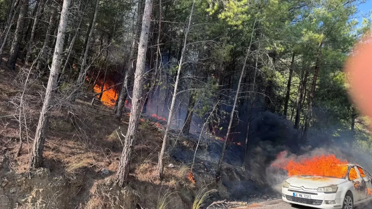 Otomobilde çıkan yangın ormana sıçradı