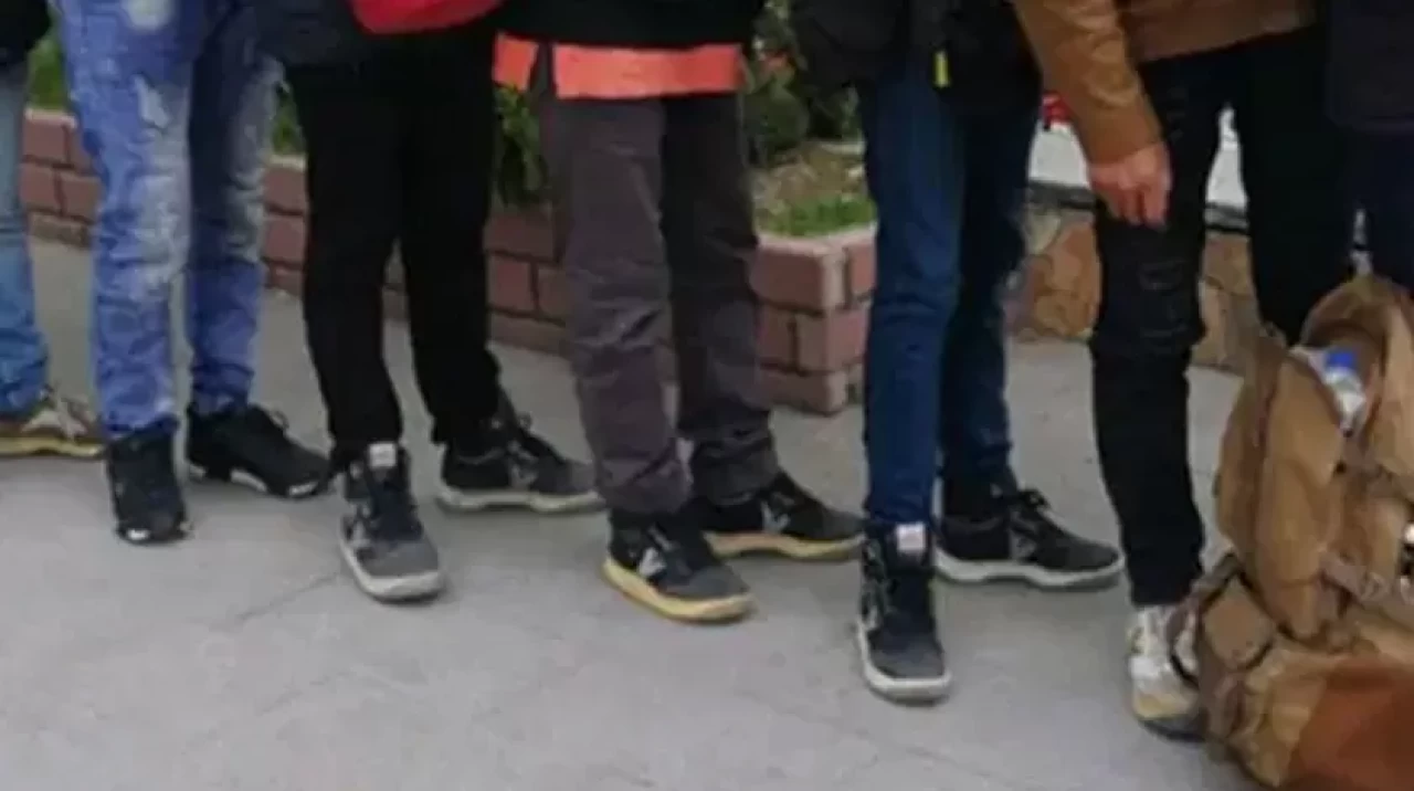 Kırklareli'nde 5 kaçak göçmen yakalandı