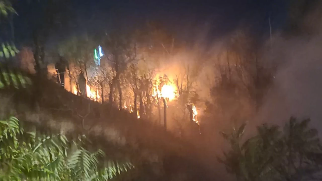 Kırıkkale'de ağaçlık alanda yangın