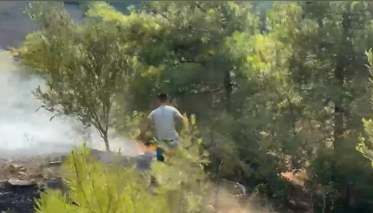 Osmaniye’de Kızlaç Tüneli yakınlarında yangın çıktı