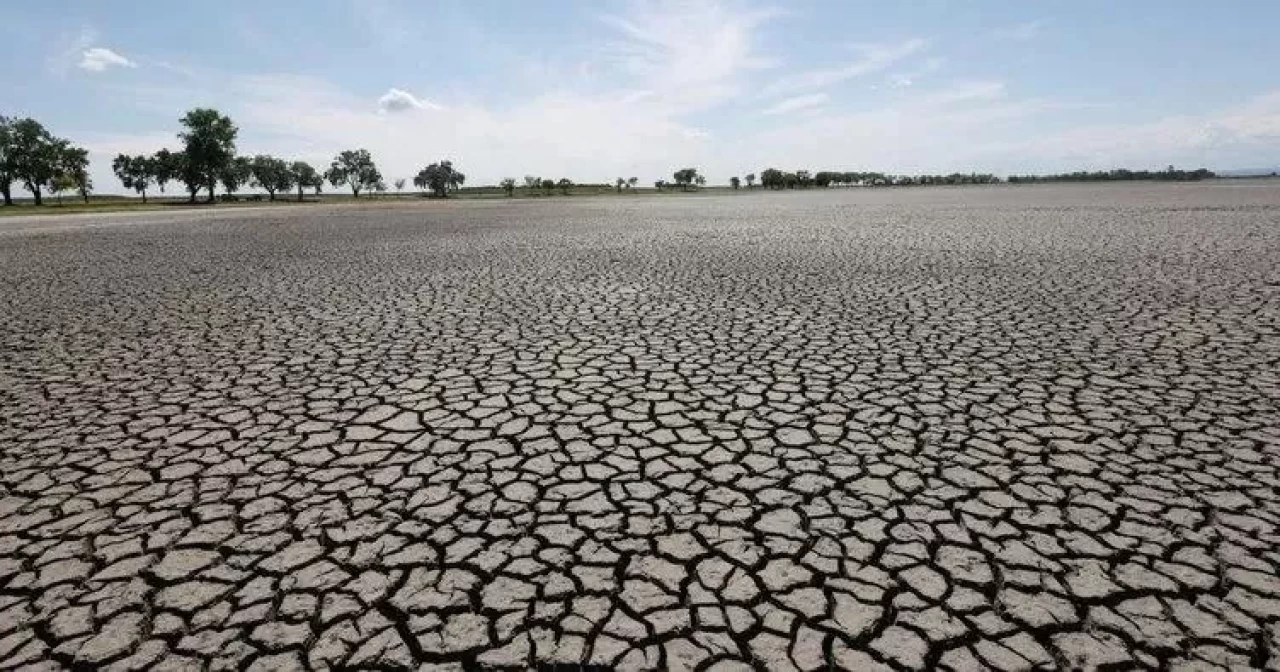Ülke genelinde seferberlik başlatıldı! Bakanlıktan 5 önemli adım