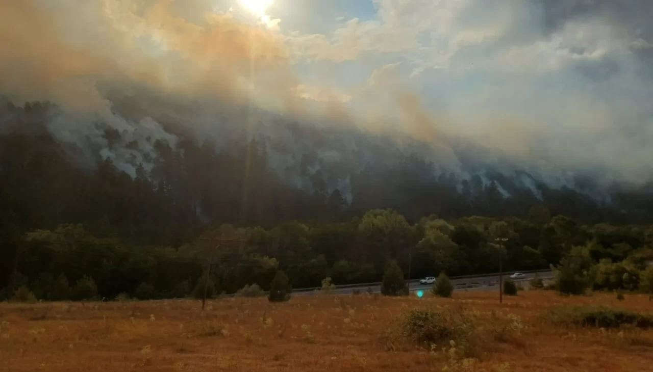 Bolu’da orman yangını! Mengen-Devrek yolu trafiğe kapatıldı