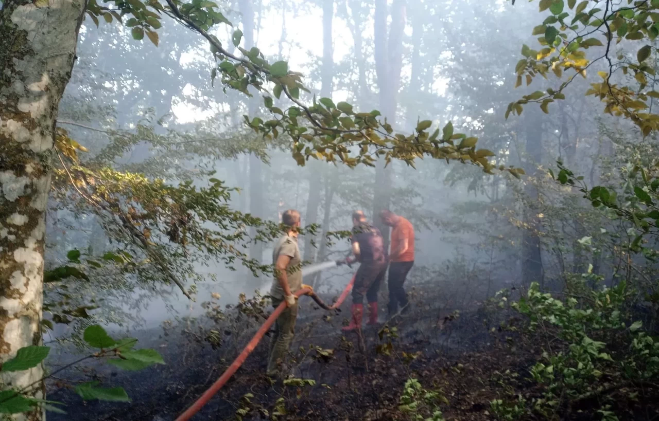 Kırklareli'de orman yangını paniği: Ekipler ve köylüler beraber müdahale etti