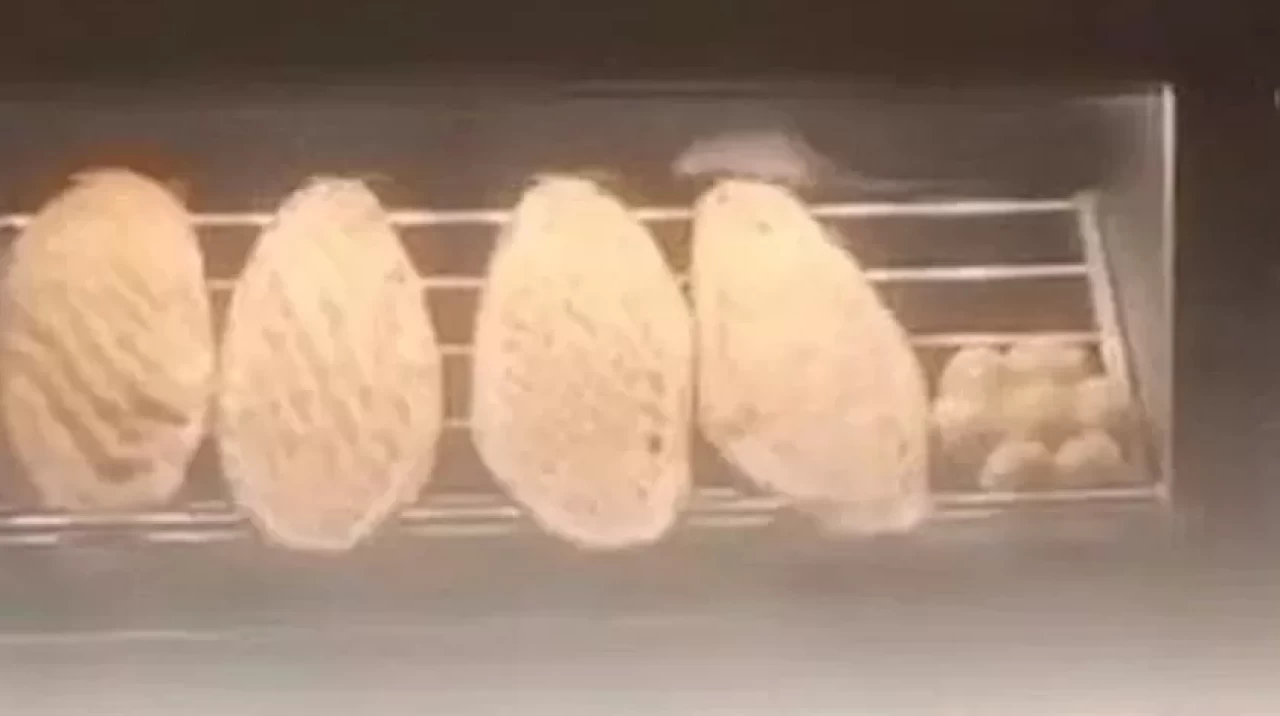 Fırında skandal! Tezgahın üstünde görüntülendi