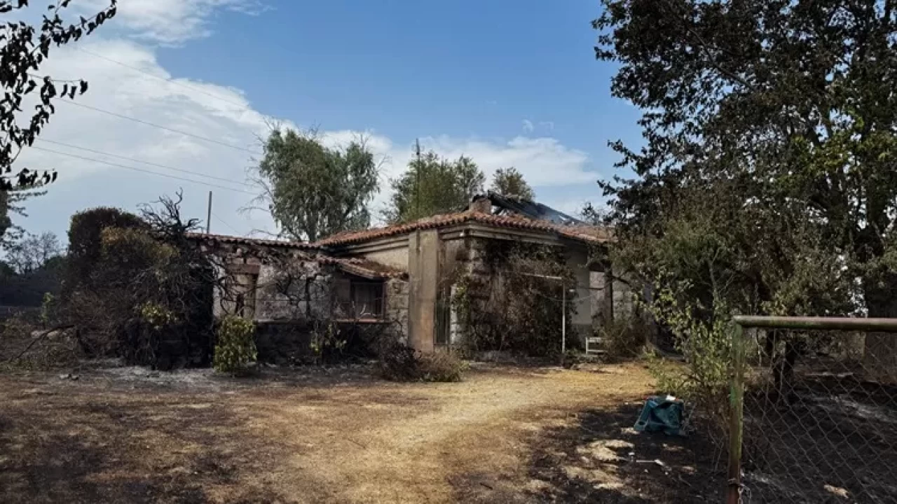 İspanya'da orman yangınları felakete yol açtı! 10 binden fazla kişi tahliye edildi