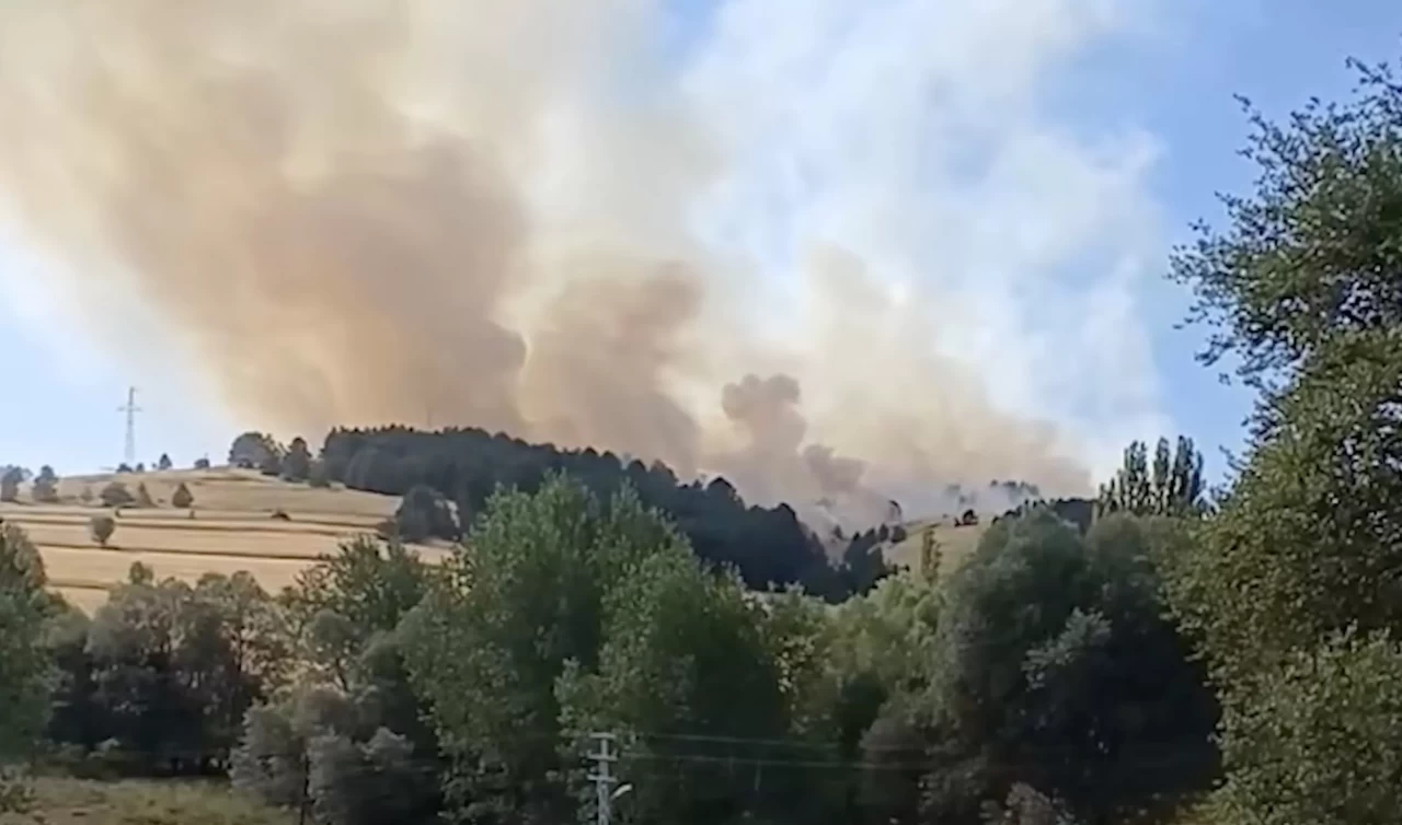 Çankırı'da orman yangını