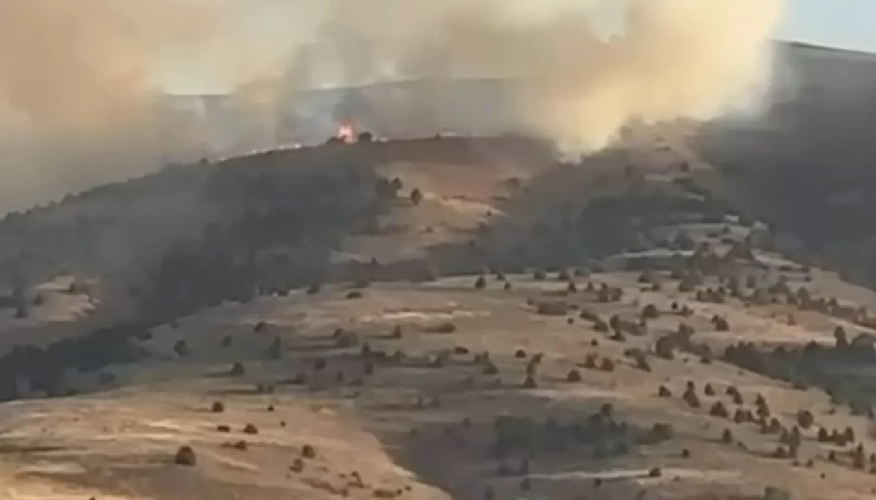 Sivas’ta anız yangını ağaçlık alana sıçradı