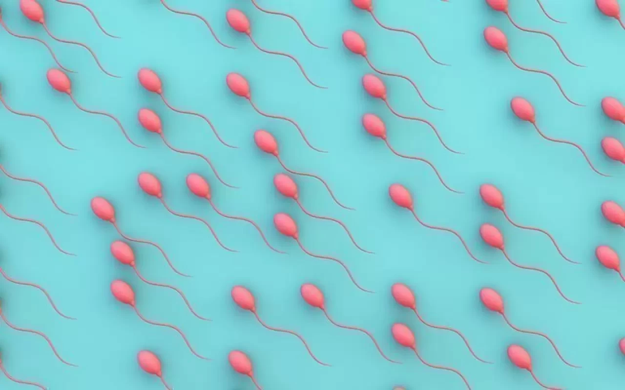 Tüp Bebek Sürecinde Adım Adım İlerleme