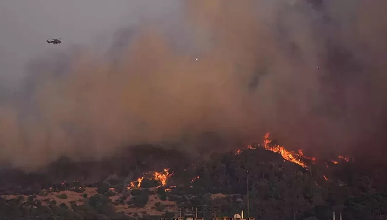 Buca'daki orman yangınıyla ilgili 1 kişi tutuklandı