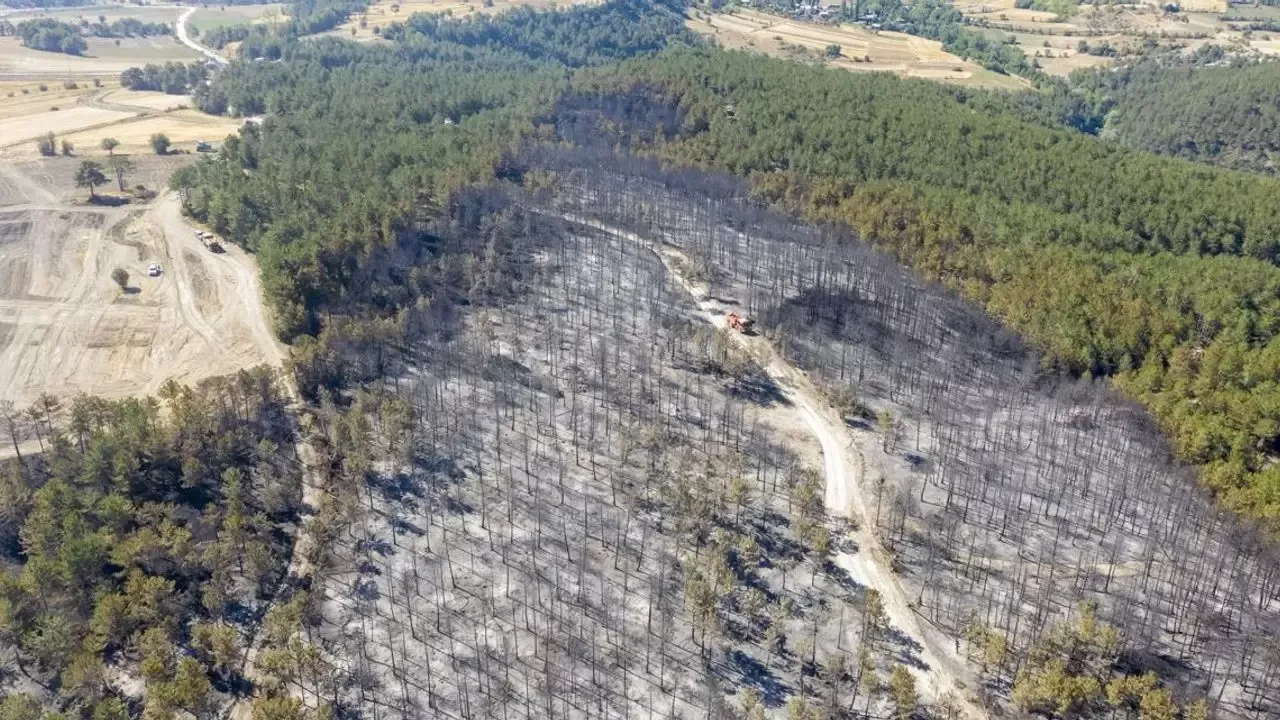 Çanakkale'deki yangınlar kontrol altına alındı! Bakan Yerlikaya açıkladı: 2 bin 200 kişi tahliye edildi