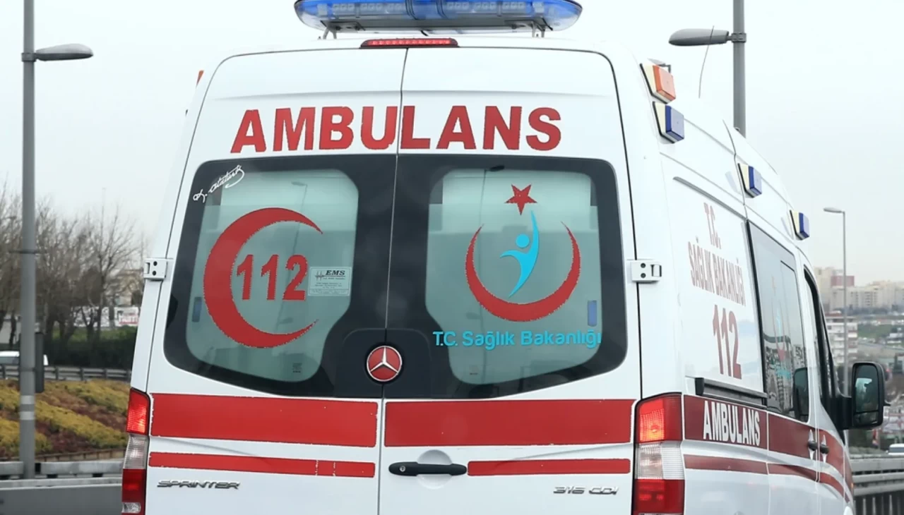 Rize'de arının soktuğu kişi hayatını kaybetti