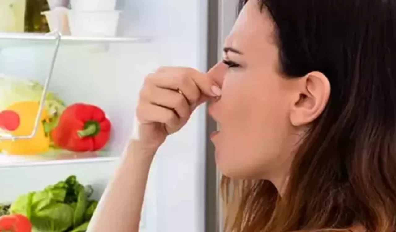Kimyasal ürünlere gerek yok! Buzdolabındaki kötü kokulara kesin çözüm
