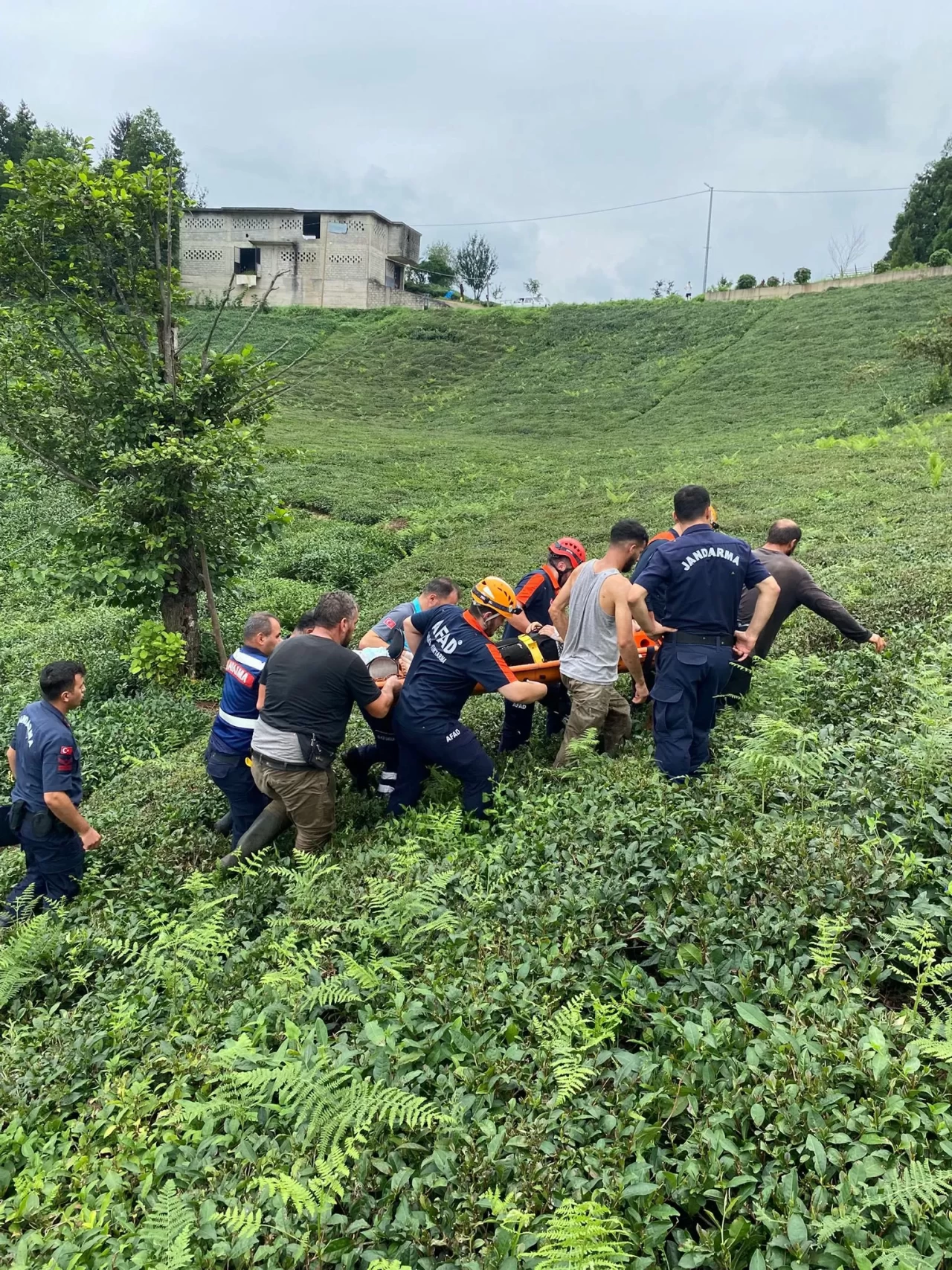 Rize'de üzerine ilkel teleferik düşen kadın yaralandı