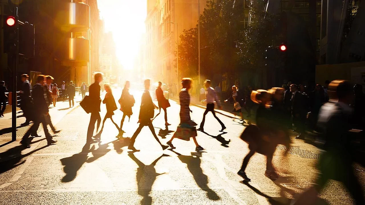 Türkiye'de çalışan her 3 kişiden biri üniversite mezunu