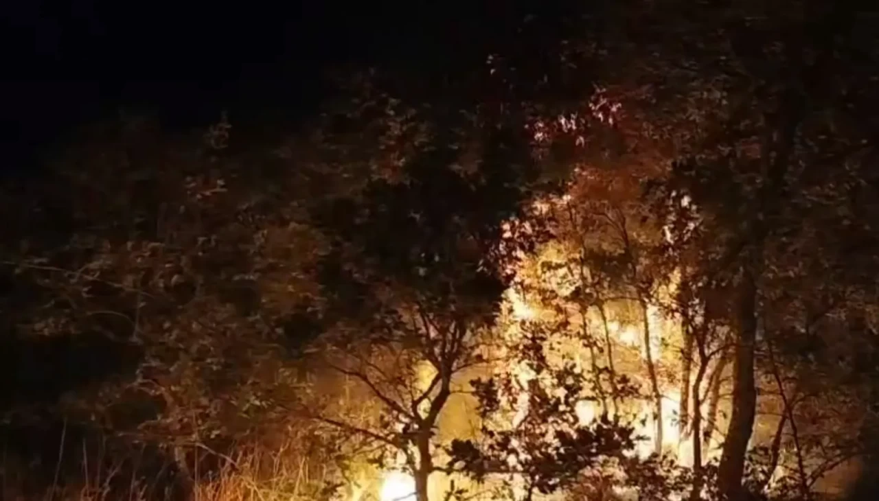 Çöplükte çıkan yangın ağaçlara sıçradı