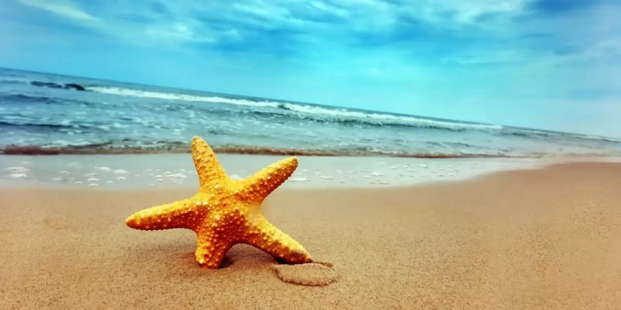 Rüyada Deniz Yıldızı Görmek Ne Anlama Gelir? Detaylı Rüya Yorumu