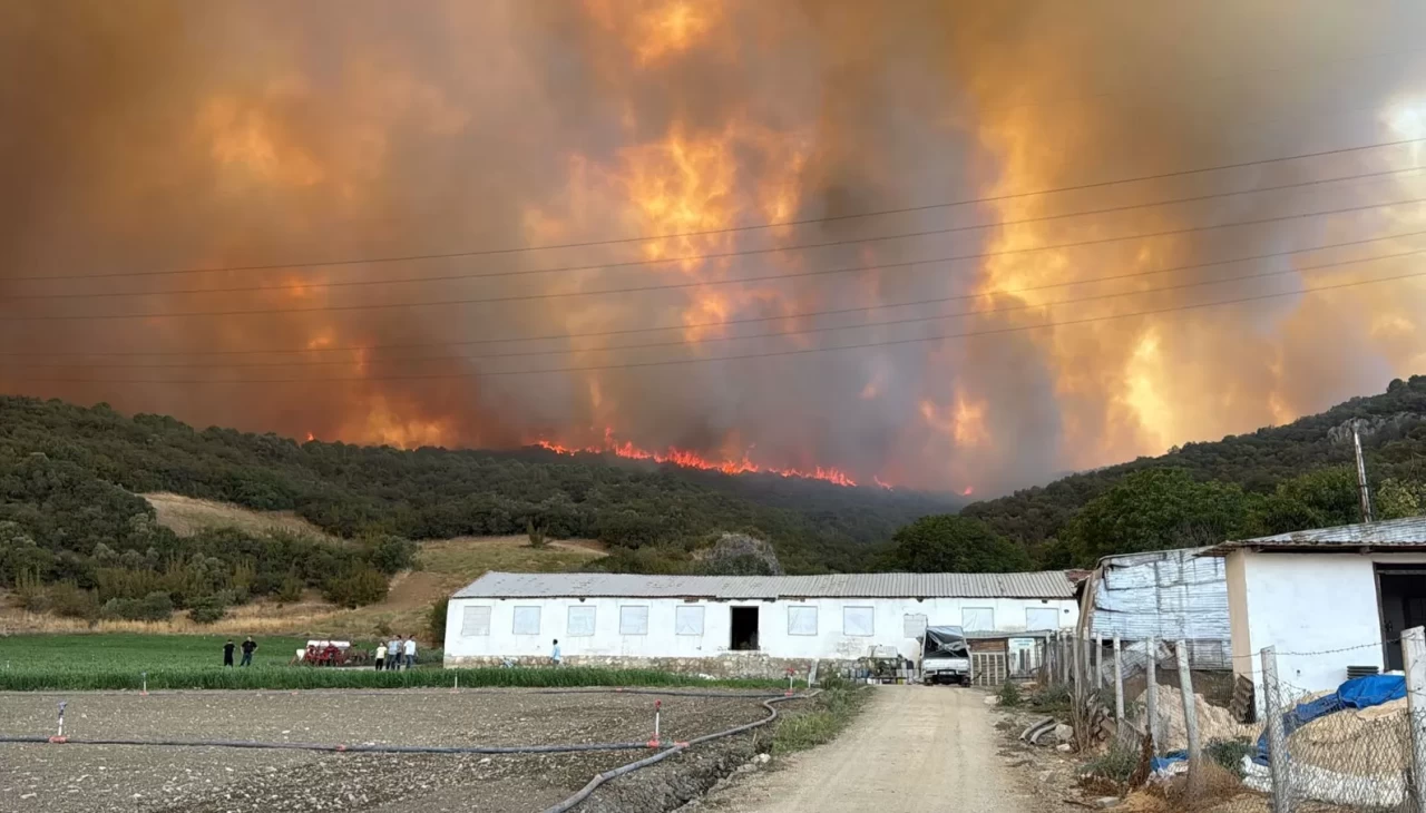Bursa'daki orman yangınına 718 personel müdahale ediyor