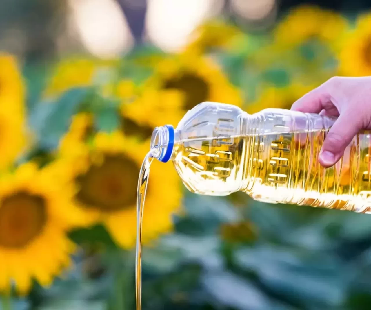 Ticaret Bakanlığı'ndan Ayçiçeği tohumu ve yağına yeni düzenleme
