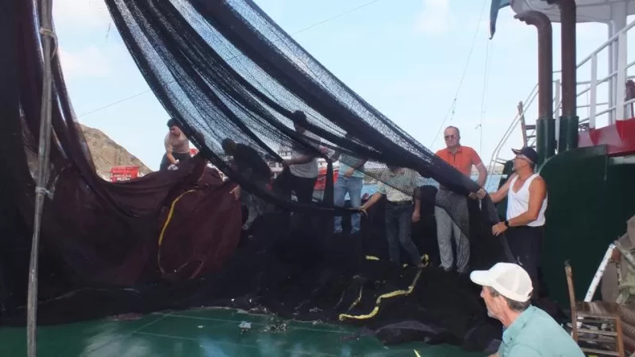 Sinop’ta balıkçılar sezon heyecanında! Av yasağı 1 Eylül’de sona eriyor