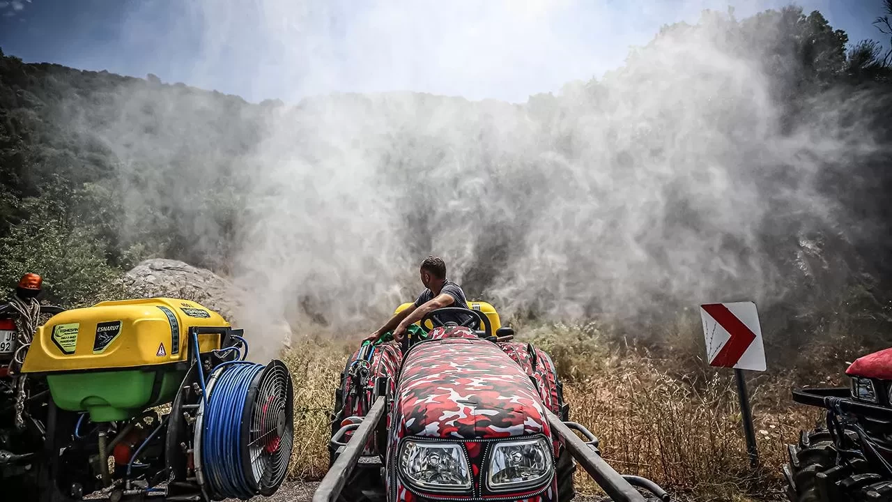 İstanbul'da yaklaşık 10 bin kişi orman gönüllüsü oldu