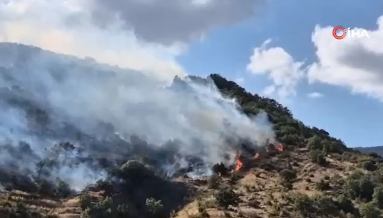 Tekirdağ'da sabah söndürülen yangın, öğleden sonra yeniden başladı
