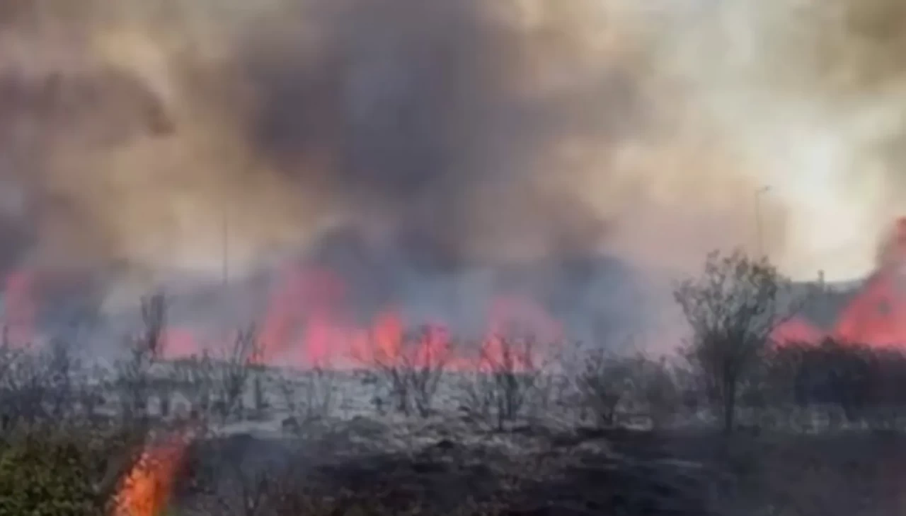 Düzce'de yol kenarındaki yangın güçlükle söndürüldü