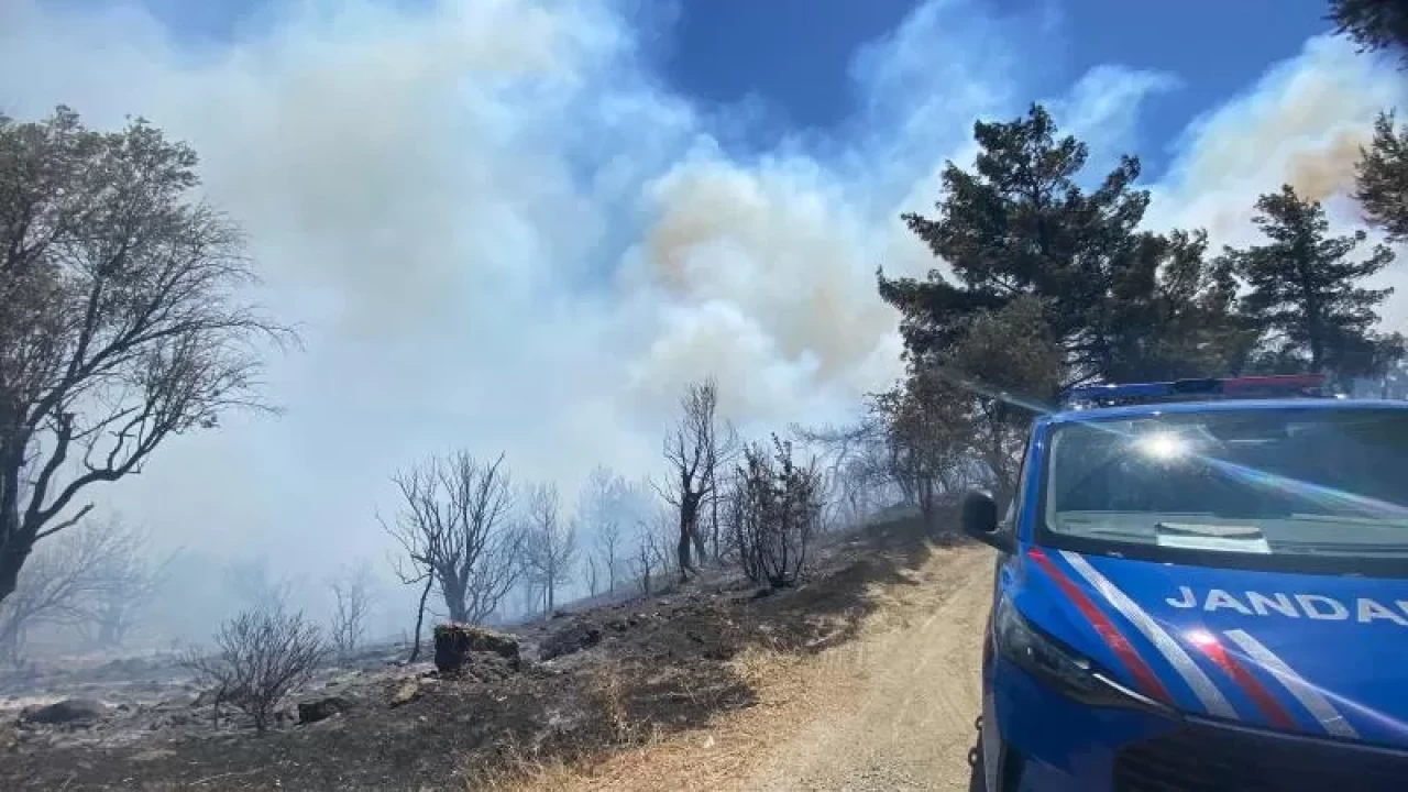İzmir'de orman yangını: Havadan ve karadan müdahale ediliyor