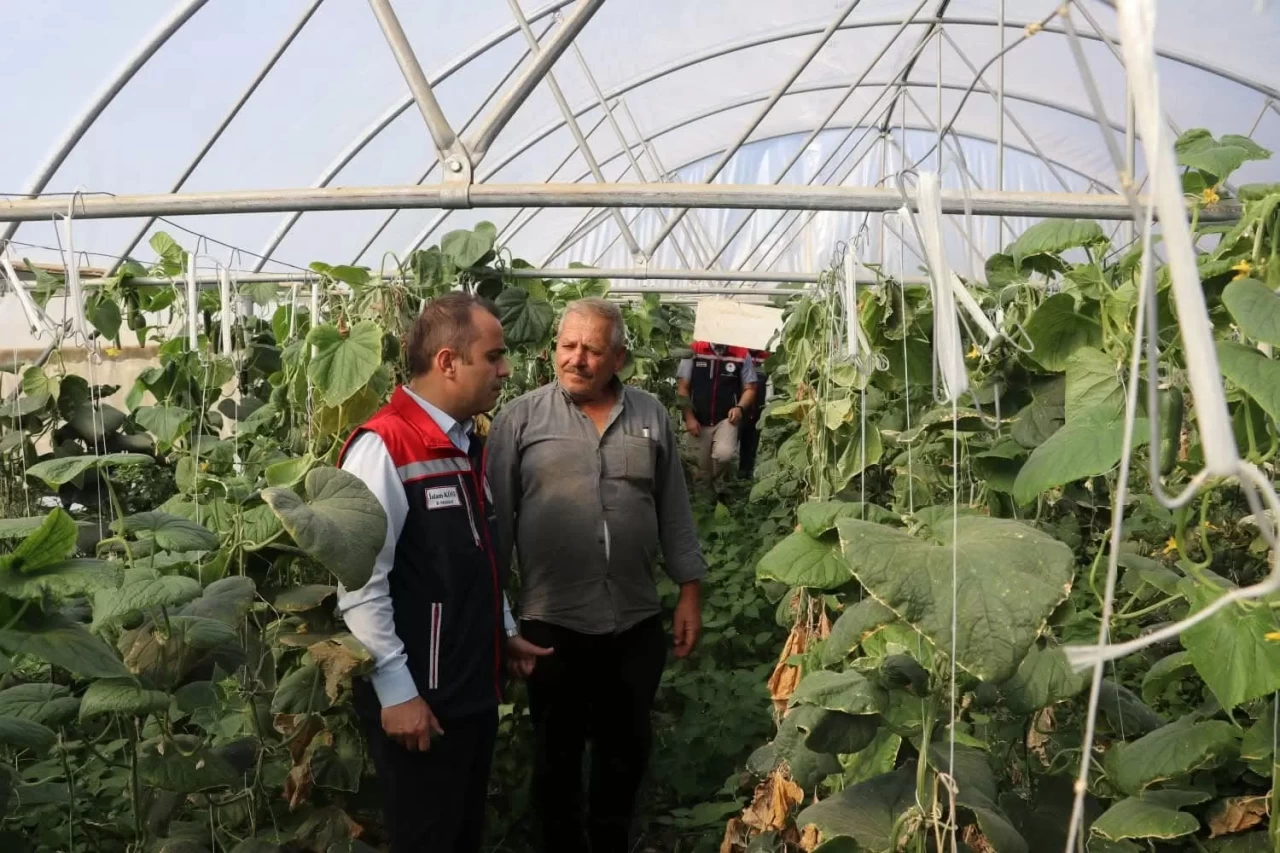 Edirne'de sera yatırımlarıyla tarımsal üretim kapasitesi artırılıyor